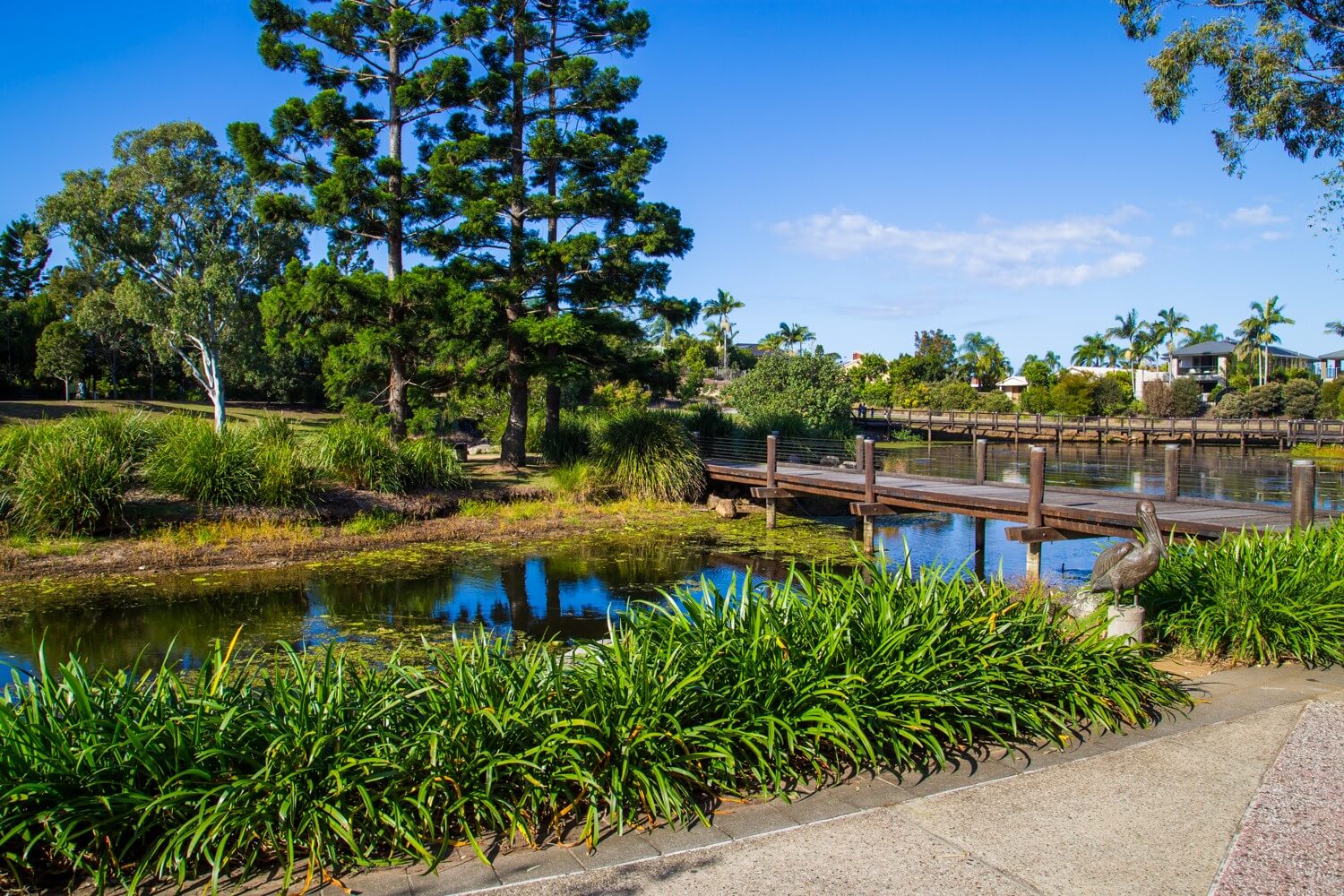 gold coast - Jardines Botánicos Regionales