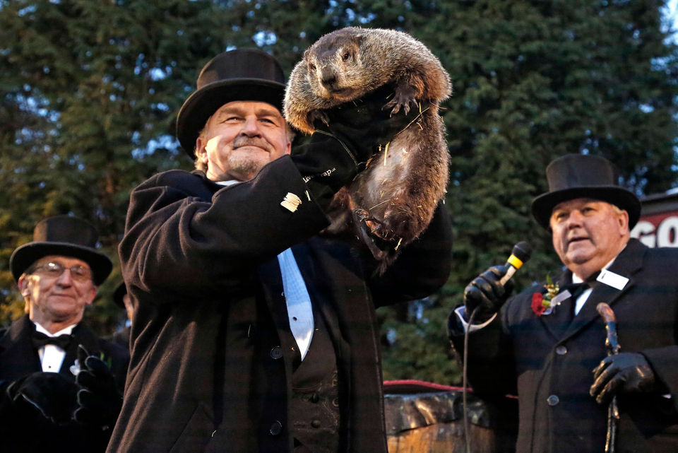tradiciones de Canadá - día de la marmota