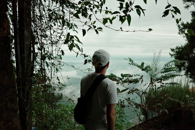 Intercambio estudiantil